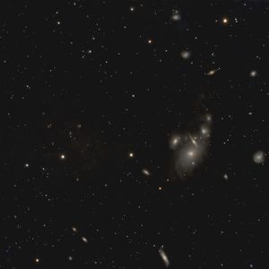 Full Portfolio Gallery